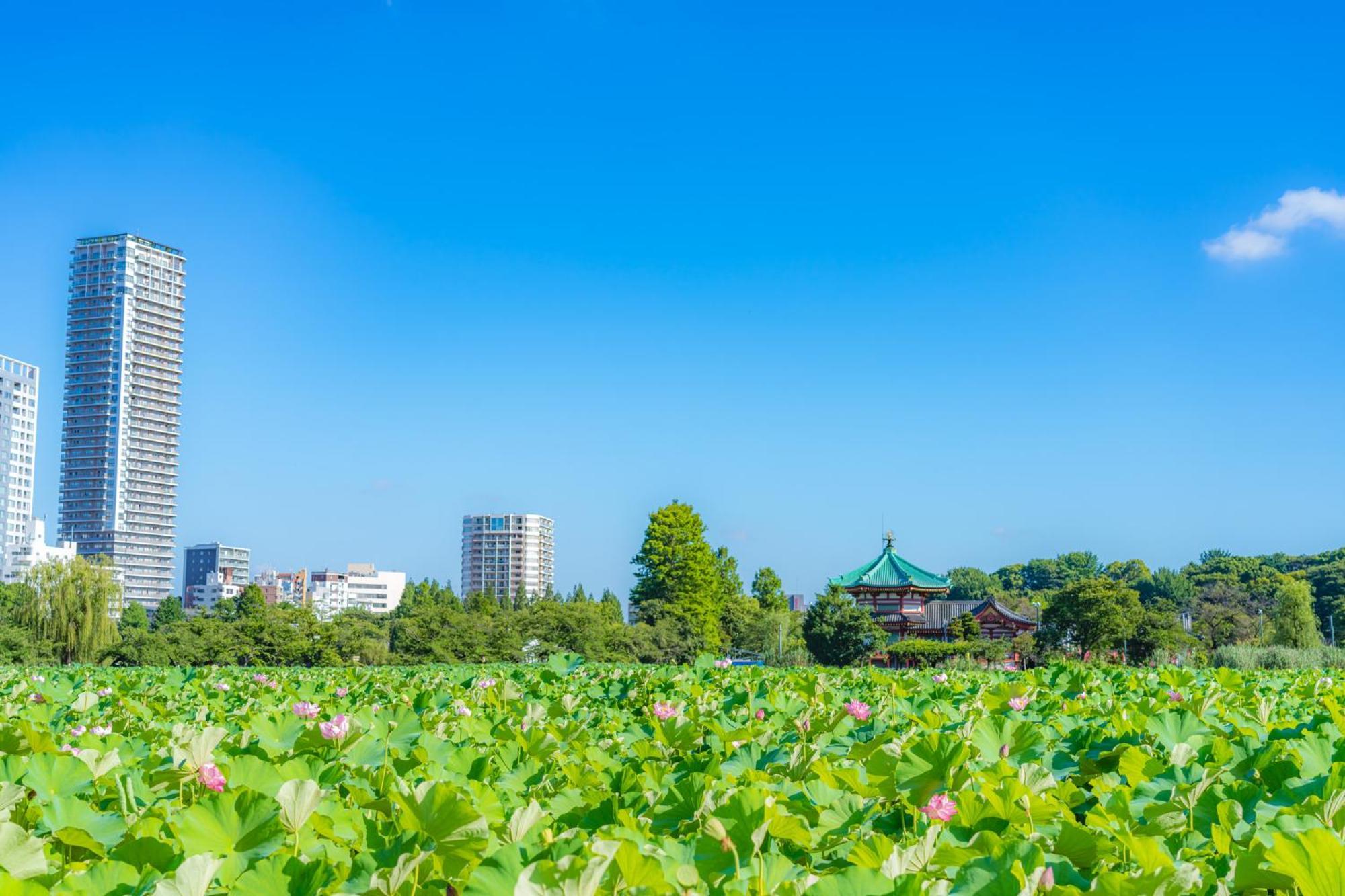 Hotel Kangetsuso Tokio